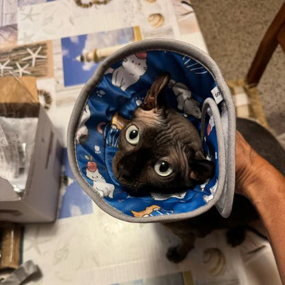 Collerette chat - Anti léchage