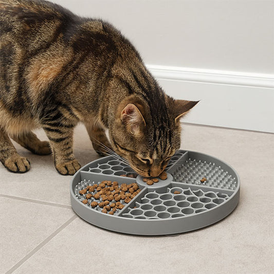 Tapis anti glouton chat - SlowFeedMat