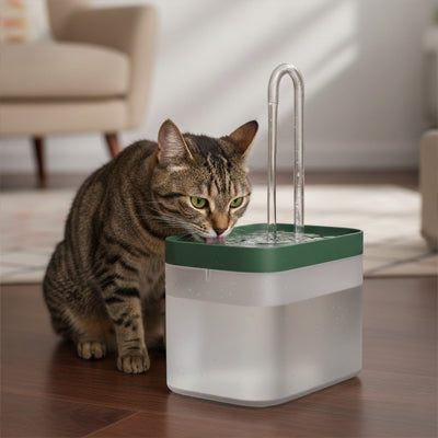 Fontaine à eau pour chat | PuraPet