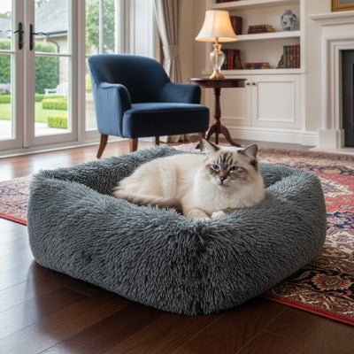 Coussin pour chat - PurrPlush