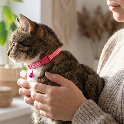 Collier Chat - Avec Cloche