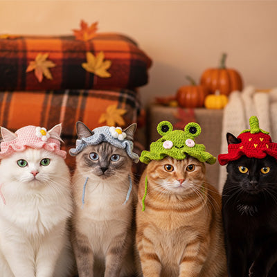 Déguisement pour chat - Bonnet en tricot