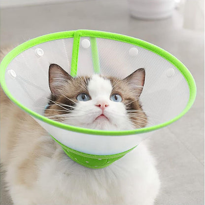 Collerette Chat - Anti-grattage