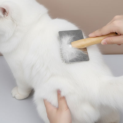 Brosse chat poil long - Poignée en bois