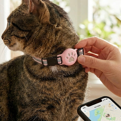 Collier GPS Chat - KittyTrack