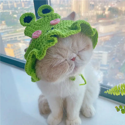 Déguisement pour chat - Bonnet en tricot