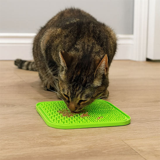 Tapis de léchage - PurrLickMat