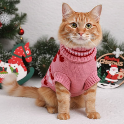 Pull pour chat - Câlin d’Hiver