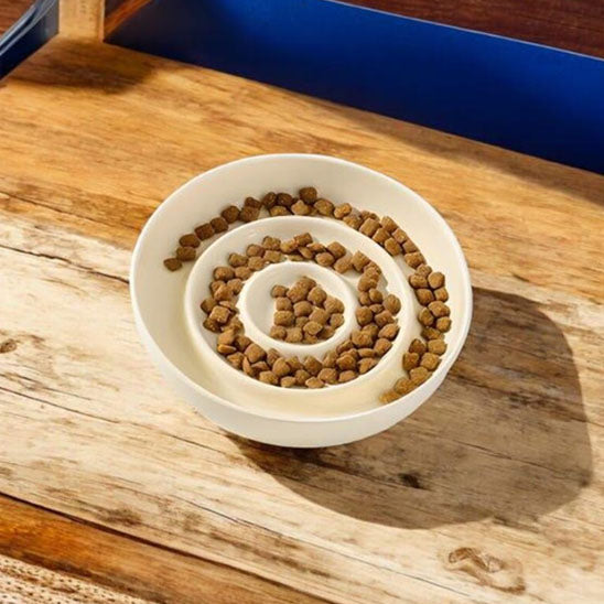 Gamelle Anti-Glouton Chaton | En céramique