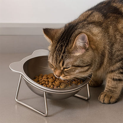 Gamelle chat - Surélevée en Acier Inoxydable