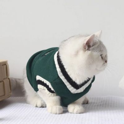 Pull pour chat - Oxford
