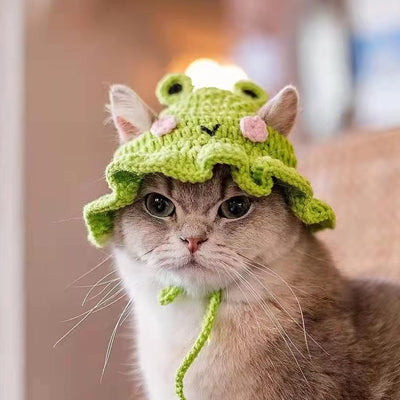 Déguisement pour chat - Bonnet en tricot