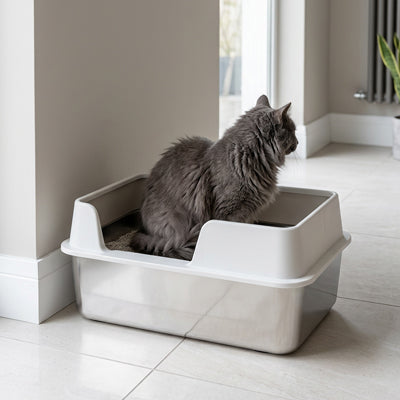 Bac à litière chat - En Acier Inoxydable Anti-odeurs