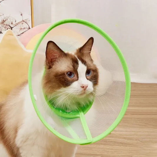 Collerette Chat - Anti-grattage