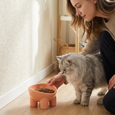Gamelle Chat Surélevée | Ergonomique
