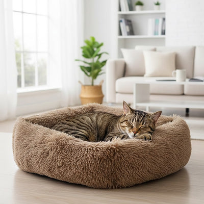 Coussin pour chat - PurrPlush