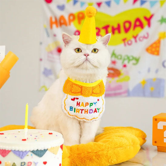 Déguisement pour chat - Kit Anniverssaire