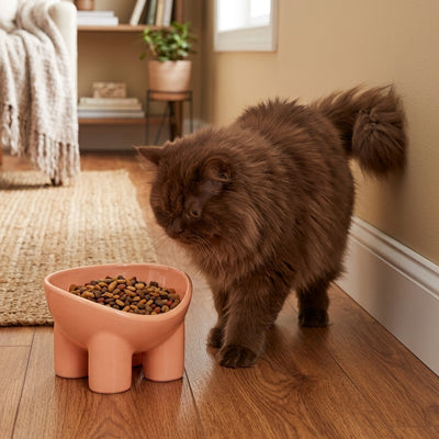 Gamelle Chat Surélevée | Ergonomique