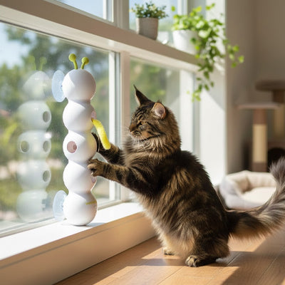 Jouet interactif chat - Attrape Queue