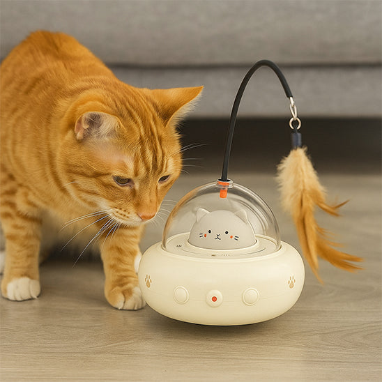 Jouet pour Chat - Secoupe interactive