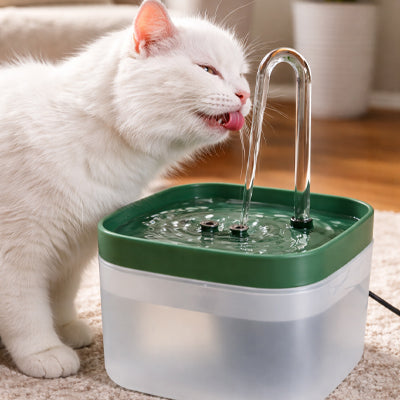 Fontaine à eau pour chat | PuraPet