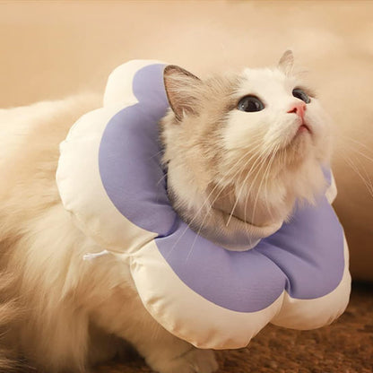 Collerette chat - Design Fleur