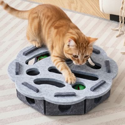 Jouet interactif pour chat - Puzzle Stimulant