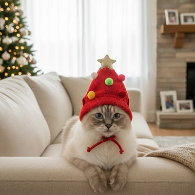 Bonnet de Noël pour chat - Sapin
