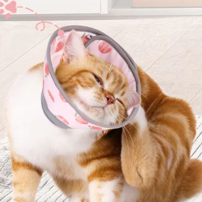 Collerette chat - Anti léchage