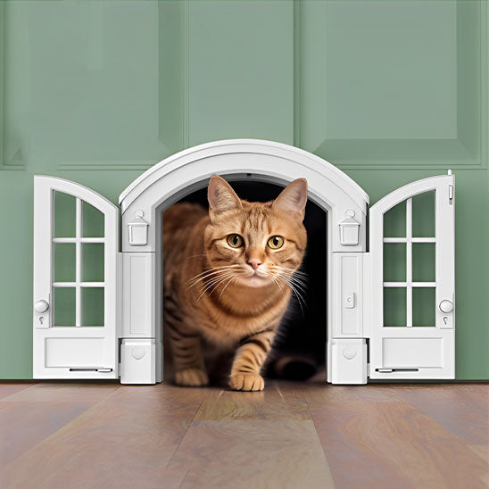 Chatiere pour chat - Double porte