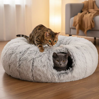 Coussin chat -  Polyvalent