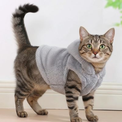Manteau pour Chat - Polaire chaude d'hiver