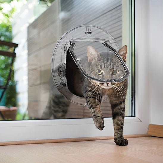 Chatiere pour chat - Ronde Transparente