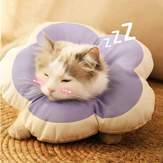 Collerette chat - Design Fleur