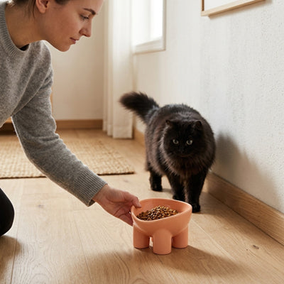 Gamelle Chat Surélevée | Ergonomique