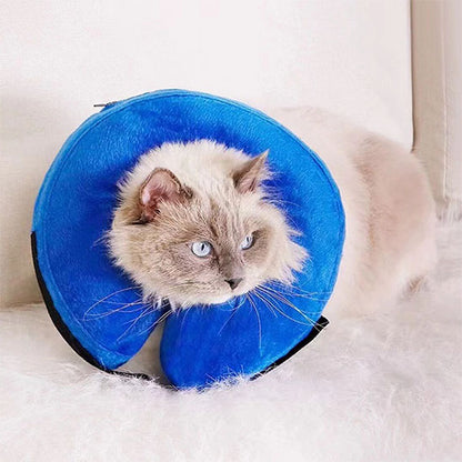 Collerette Chat - Gonflable