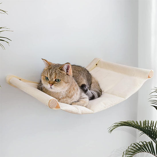 hamac pour chat suspendu apaisant, surface rembourrée confortable, idéal pour se détendre en hauteur