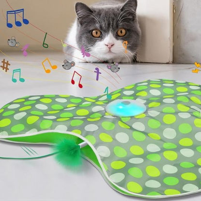 Jouet chat - Tapis cache-cache