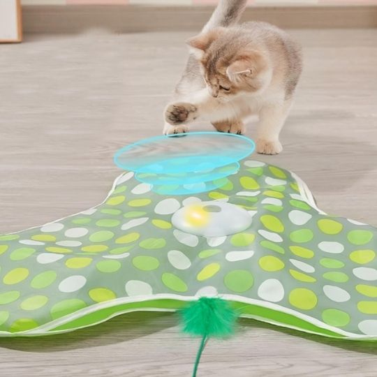 Jouet chat - Tapis cache-cache