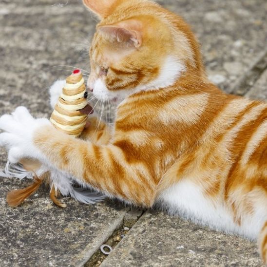 Jouet chat - Souris en sisal
