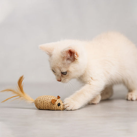 Jouet chat - Souris en sisal