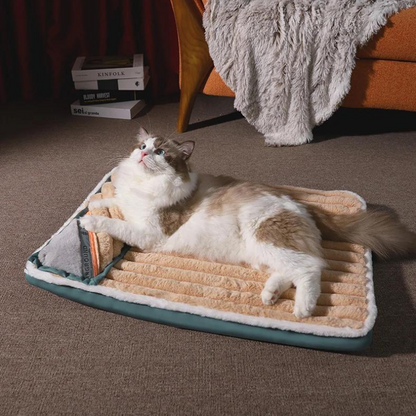 Lit pour chat