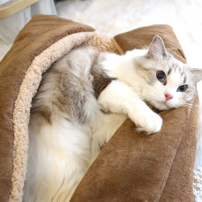Lit pour chats