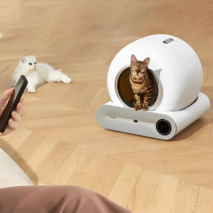 Litière autonettoyante | FreshPaws