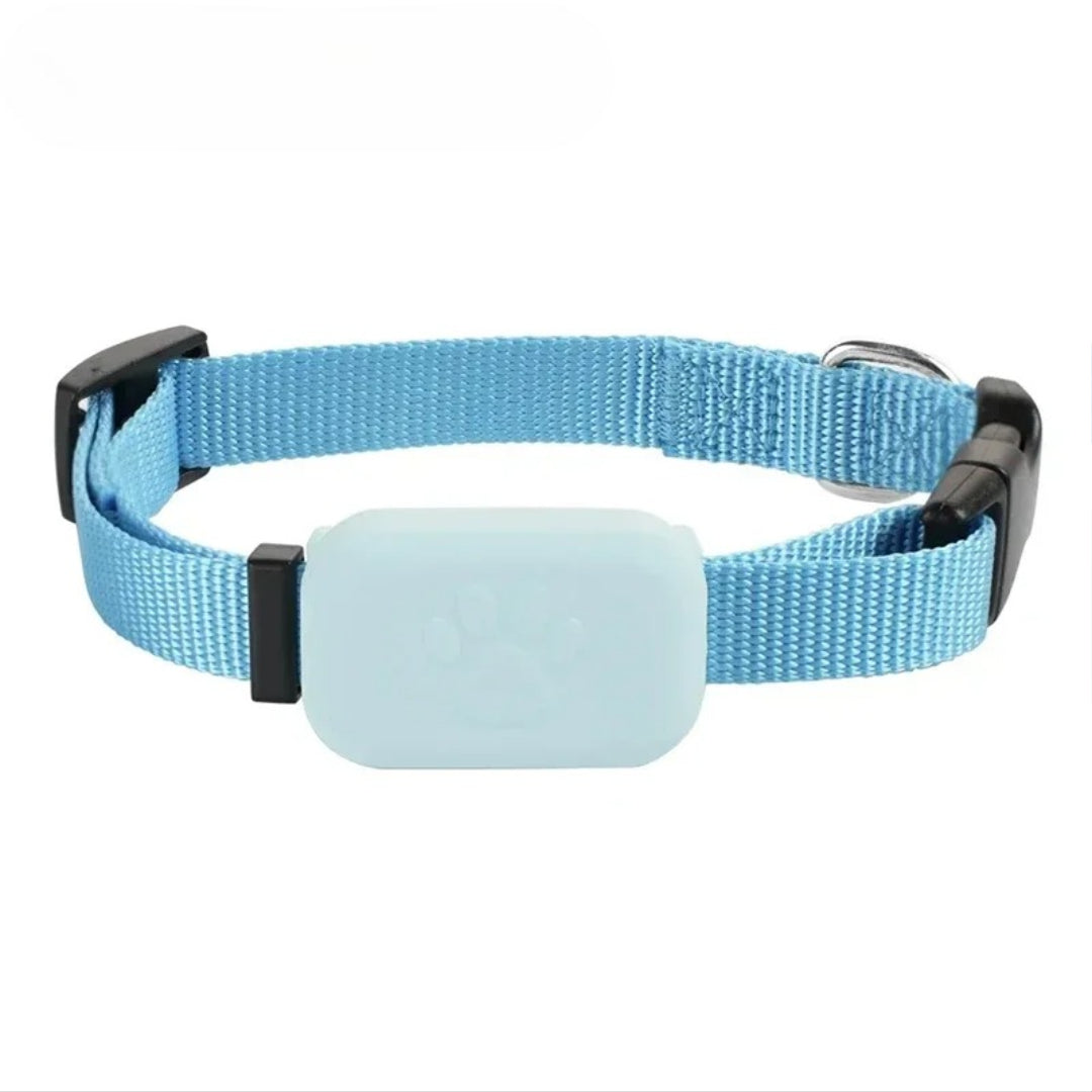 Collier GPS Chat - Anti Perte