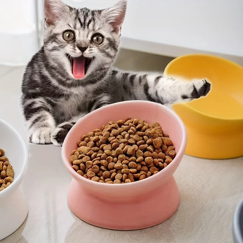 Gamelle chat en céramique surélevée