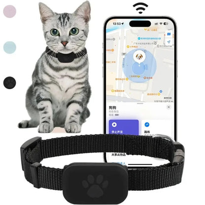 Collier GPS Chat - Anti Perte
