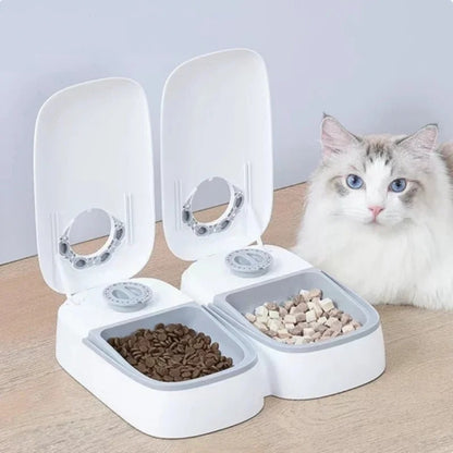 Distributeur automatique croquettes Chat | Minuterie de 48 heures