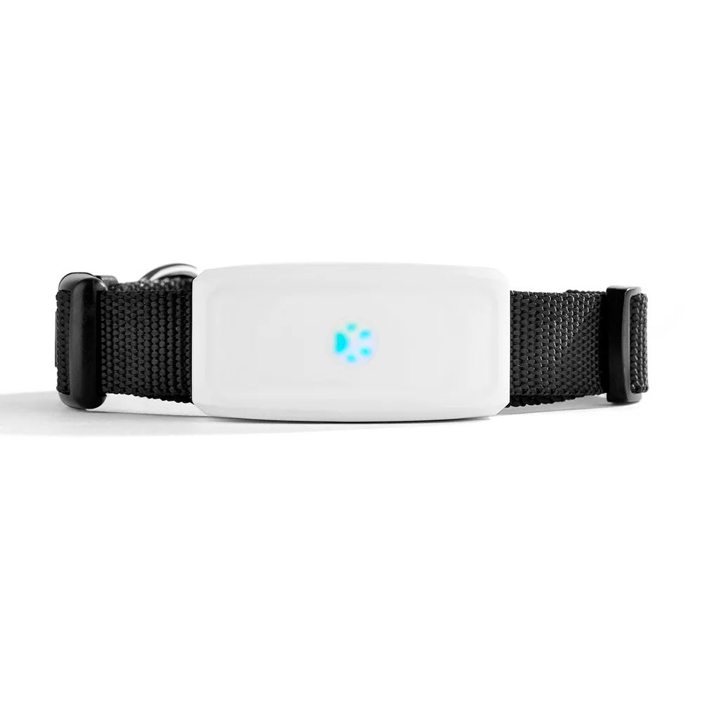 Traceur GPS pour chat – Suivi en temps réel