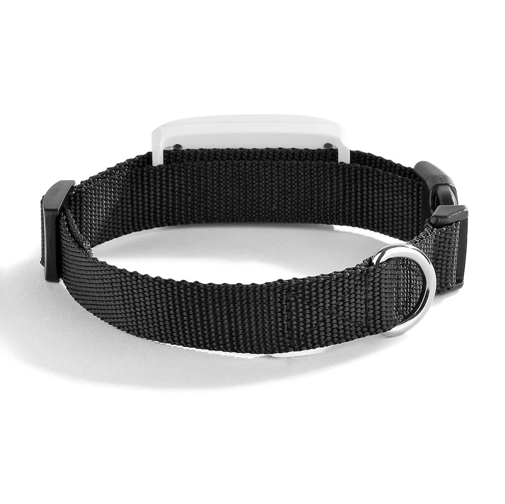 Traceur GPS pour chat – Suivi en temps réel